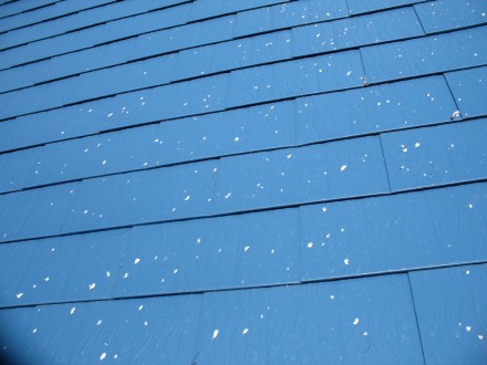 Blue color top roofing 