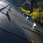 metal shingle roof in Massachusetts
