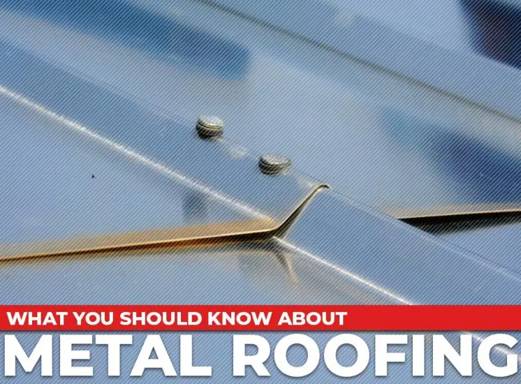Metal roof with graphic reading What You Should Know about Metal Roofing